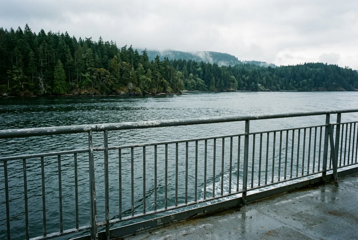 An empty outdoor ferry deck railing overlooking gray water and a forested shoreline